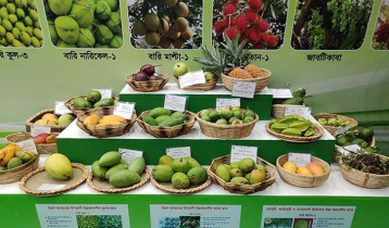 National Fruit Fair-2025 to begin Thursday