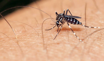 3 dengue patients die in Barguna in 24 hours