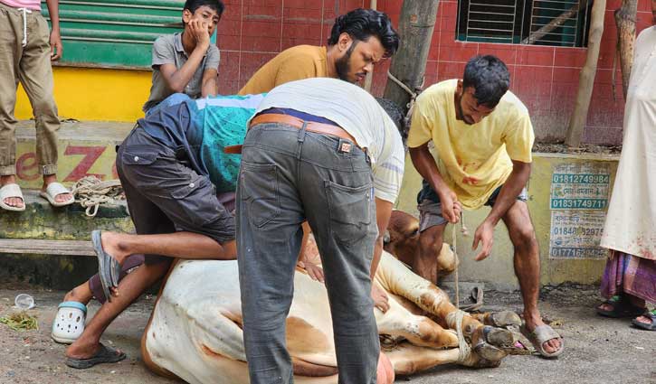 Animal sacrifice continues on 2nd day of Eid