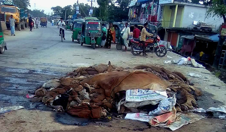 চামড়া কিনে মৌসুমি ব্যবসায়ীদের মাথায় হাত