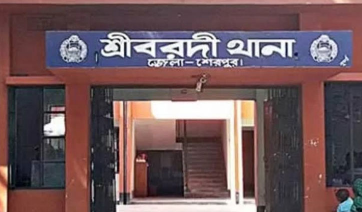 শেরপুরে পানিতে ডুবে দুই শিশুর মৃত্যু