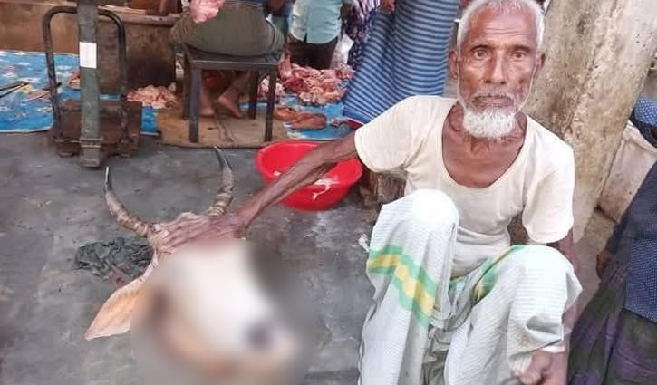 চাঁদপুরে গরুর খণ্ডিত মাথা দেখে চুরি হওয়া গরু শনাক্ত করলেন মালিক