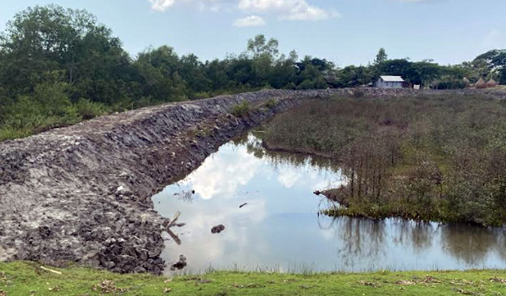 বনাঞ্চল উজাড় করে মাছের ঘের