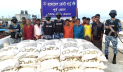 মিয়ানমারে পাচারকালে বিপুল পরিমাণ ইউরিয়া সারসহ আটক ১১ 