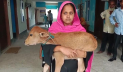 গাভি নিয়ে গেছে পাওনাদার, বাছুর কোলে আদালতে নারী