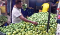 আম-লিচুতে ভরপুর রাজশাহীর বাজার, অনিশ্চিত ‘ম্যাঙ্গো স্পেশাল ট্রেন’