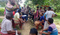 আম পাড়া নিয়ে নাটোরে বিএনপির ২ পক্ষের সংঘর্ষ, গুলি 