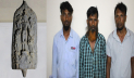 বগুড়ায় কষ্টিপাথরের মূর্তি উদ্ধার, গ্রেপ্তার ৩