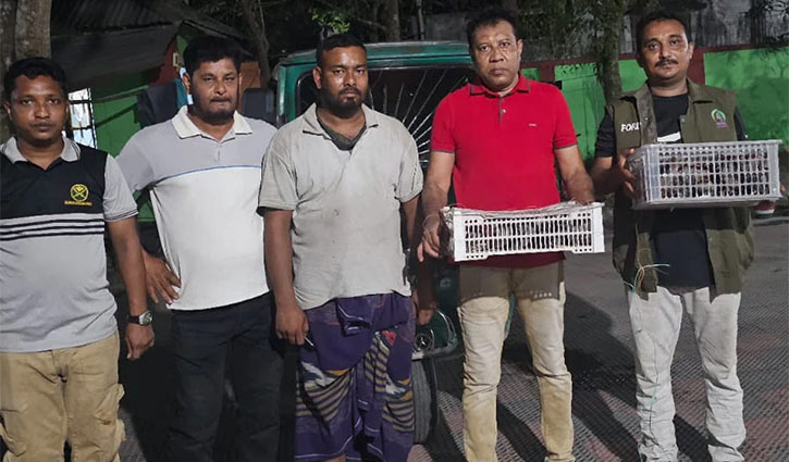 কুষ্টিয়ায় ৪০টি শালিক পাখি উদ্ধার