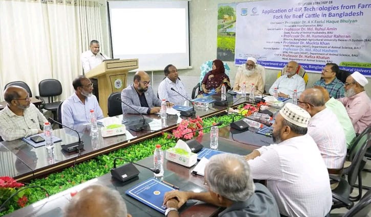 বাকৃবিতে গরুর মাংস উৎপাদন নিয়ে কর্মশালা
