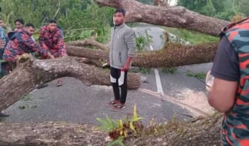 মৌলভীবাজারে সড়কে গাছ ফেলে ৩ ঘণ্টা অবরোধ 