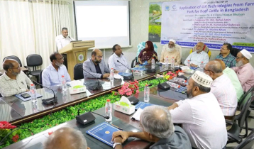 বাকৃবিতে গরুর মাংস উৎপাদন নিয়ে কর্মশালা 