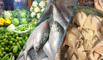 কমেছে মাছ, মুরগি ও সবজির দাম