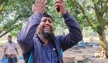 বিষ দিয়ে ২০০ বক্স মৌমাছি হত্যা, চাষি বললেন, পথে বসে গেলাম