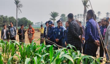 চুয়াডাঙ্গায় যুবককে গলা কেটে হত্যা