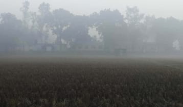 পঞ্চগড়ে মৌসুমের সর্বনিম্ন তাপমাত্রা রেকর্ড