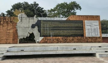 আজ খোকসা মুক্ত দিবস