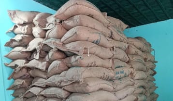 অবৈধভাবে মজুত করা টিসিবির ২৪৮ বস্তা চাল জব্দ, আটক ১