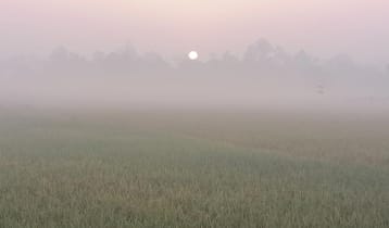 পঞ্চগড়ে তাপমাত্রা নেমেছে ১২ ডিগ্রিতে