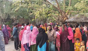 গাছের সঙ্গে মোটরসাইকেলের ধাক্কা, দুই তরুণের মৃত্যু