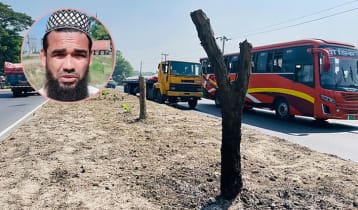 ‘আবর্জনার মতো লাগে’ বলে অর্ধশত বকুলগাছ কাটা সেই ব্যক্তি গ্রেপ্তার