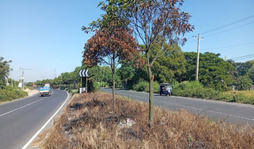 কুমিল্লায় মহাসড়কের বকুলগাছে দফায় দফায় আগুন