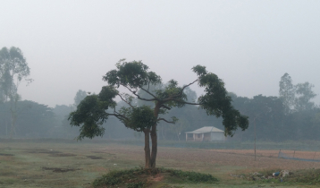 শুক্রবার দিনাজপুরে সর্বনিম্ন তাপমাত্রা ১৫ ডিগ্রি সেলসিয়াস 