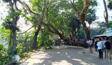 ঢাকা-বরিশাল মহাসড়কে গাছ ফেলে অবরোধ