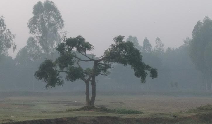 পটুয়াখালীতে শীতের দাপট
