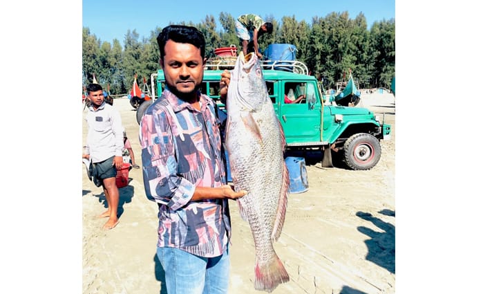 টেকনাফে ২০ কেজির পোয়া মাছ ১ লাখ টাকায় বিক্রি 