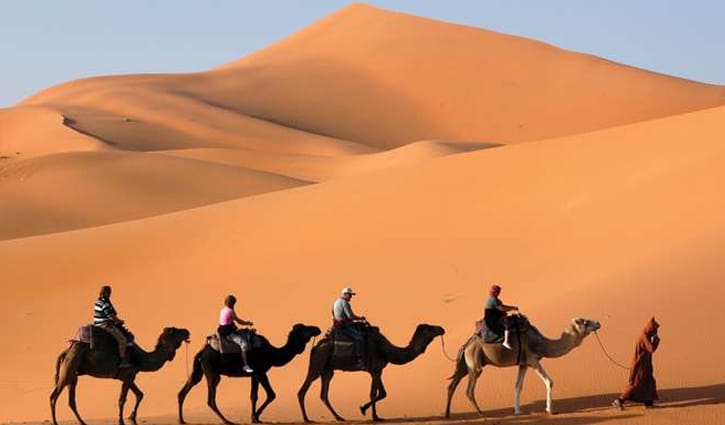 কী কী আছে মরুভূমি সাহারায়?