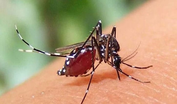 বরিশালে ডেঙ্গুতে বৃদ্ধের মৃত্যু