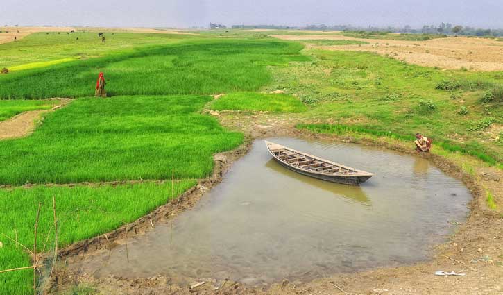পদ্মার চরে গুলিতে ২ জন নিহত, গুলিবিদ্ধ ২