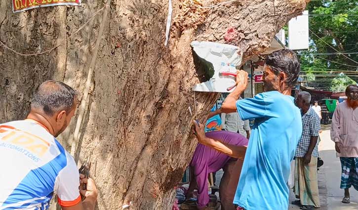 গাছ থেকে সাইনবোর্ড ও পেরেক তোলার অভিযান হিলি পৌরসভার