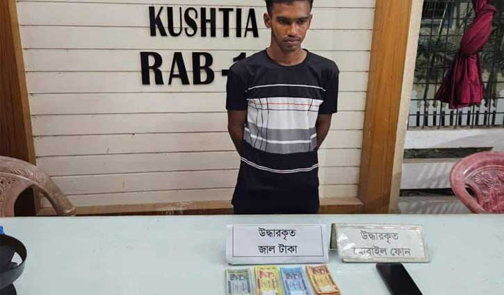 লালন মেলায় ৭৮ মোবাইল ফোন চুরি