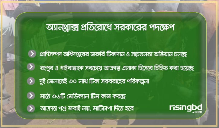 অ্যানথ্রাক্স প্রতিরোধে সরকার কী করছে
