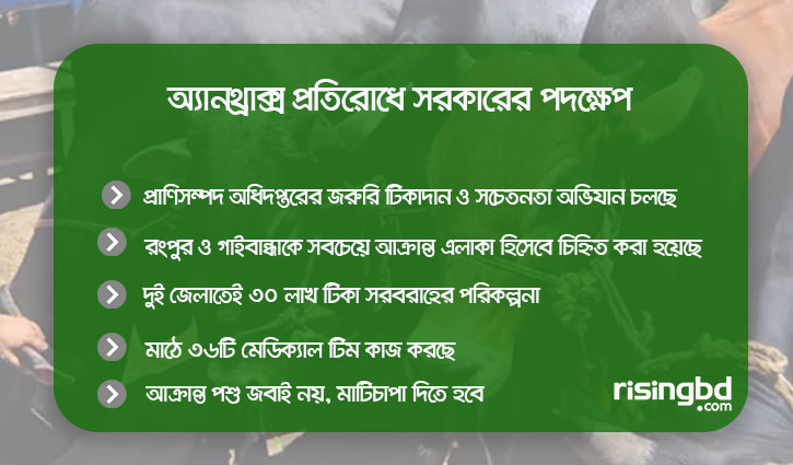 অ্যানথ্রাক্স প্রতিরোধে সরকার কী করছে
