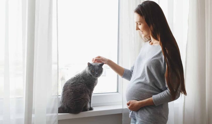 গর্ভবতী নারীদের জন্য যে কারণে বিড়াল  বিপদজনক