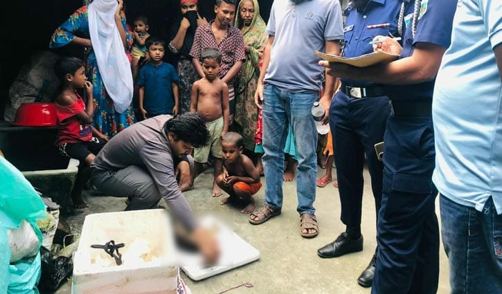 গলা কেটে বিড়াল হত্যা, থানায় জিডি