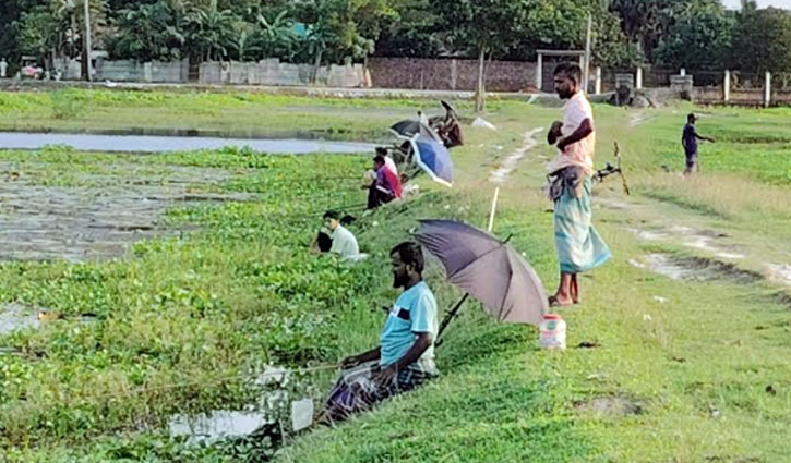 কালীগঞ্জে শখের মাছ শিকারিদের উৎসব