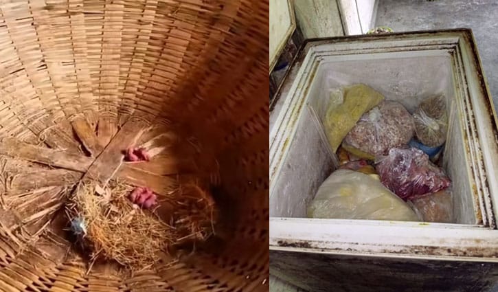 গবির ক্যান্টিনে ইঁদুর, পচা খাবারে ভরা ফ্রিজ