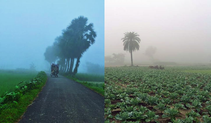 হঠাৎ কুয়াশায় ঢেকে গেলো নওগাঁর গ্রামীণ পথঘাট