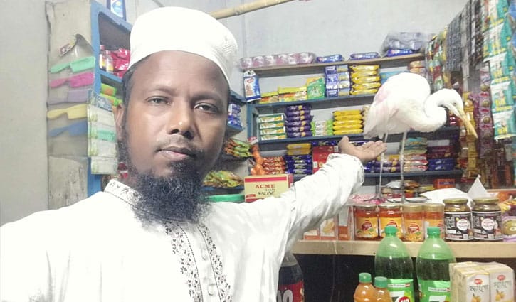 অবমুক্তির পরও ফিরে এল হেমায়েতের বকটি