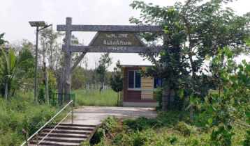 সুন্দরবনের নতুন পর্যটন স্পট ‘আলীবান্দা’