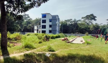 বানরের জন্য গড়া ইকোপার্কটি এখন আধুনিক রিসোর্ট