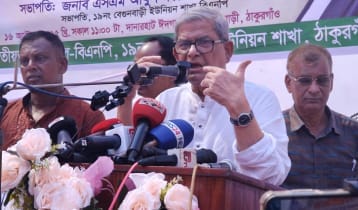 সরকারকে সবাই ব্যস্ত রেখেছে যেন নির্বাচন না হয়: মির্জা ফখরুল