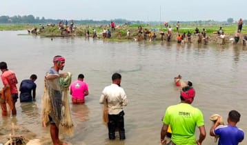 ঠাকুরগাঁওয়ে শুক নদীর অভয়াশ্রমে মাছ ধরা উৎসব