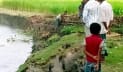 বিষখালীতে হঠাৎ ভাঙন