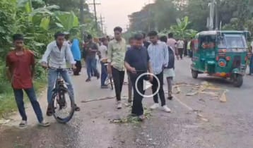 নোয়াখালীতে ট্রাকচাপায় নিহত ৬