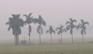 কুয়াশায় ঢাকা পঞ্চগড়, তাপমাত্রা নামল ১৪.৫ ডিগ্রিতে